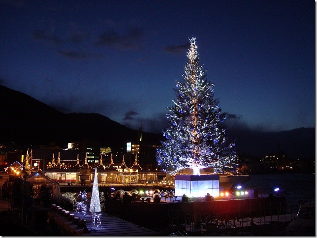 函館　クリスマスツリー