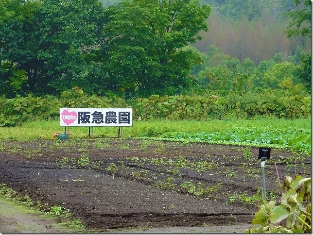 北海道 阿寒　阪急農園