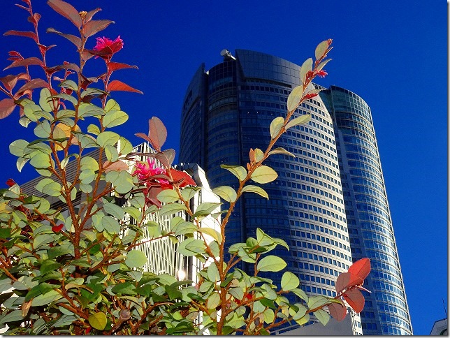 アクトホテル六本木 東京都 港区　ルーフトップ・ガーデン