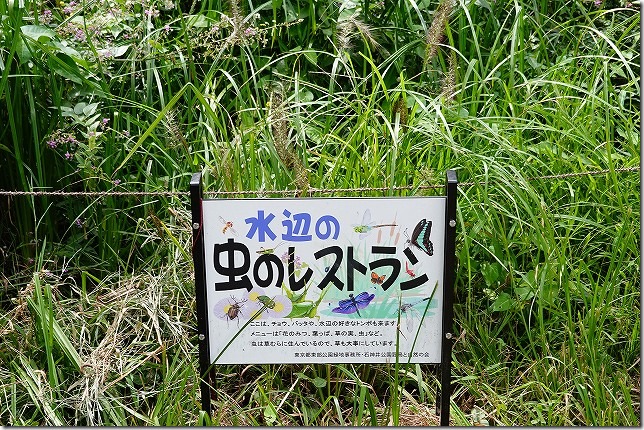 石神井（しゃくじい）公園（東京都 練馬区）