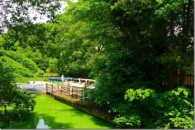 2021年5月：「善福寺池公園」 （東京都 杉並区）