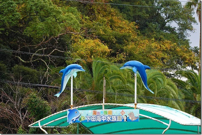 下田海中水族館（静岡県 下田市）