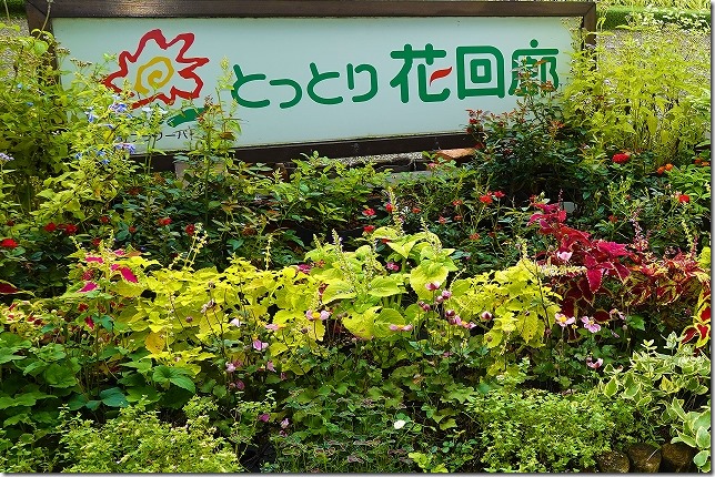 とっとり花回廊（鳥取県 南部町）